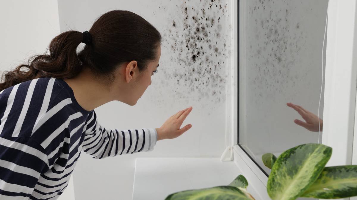 7 odori che rivelano una casa trascurata e come rimediarvi 2 7 odori che rivelano una casa trascurata e come rimediarvi