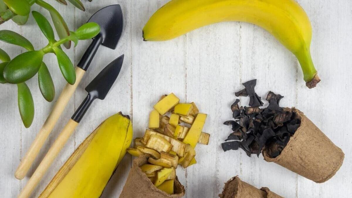 Cospargo la buccia di banana di sale e per tutto l’inverno mi compiaccio della mia ingegnosità: il miglior lifehack per pigri 3 Cospargo la buccia di banana di sale e per tutto l’inverno mi compiaccio della mia ingegnosità: il miglior lifehack per pigri