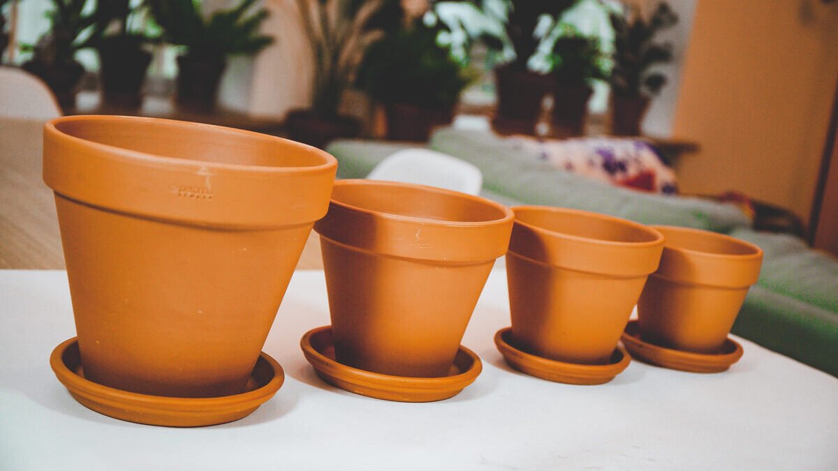 Li hanno quasi tutti in casa. Presto potrebbero essere vietati 3 Li hanno quasi tutti in casa. Presto potrebbero essere vietati