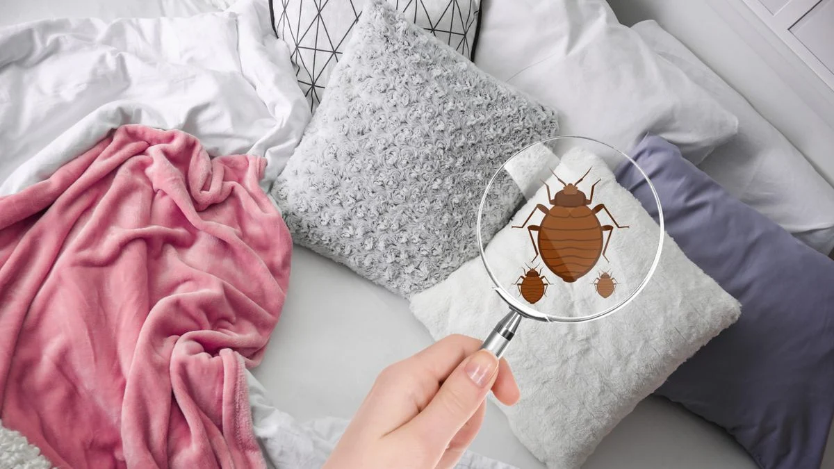 Esperto “La biancheria da letto non andrebbe cambiata ogni due settimane né una volta al mese” — ECCO l’intervallo esatto per la sostituzione