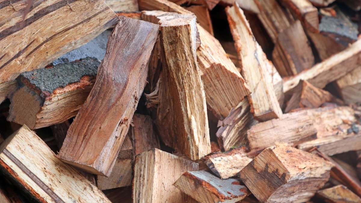 Gli spazzacamini hanno indicato il legno che sporca meno la canna fumaria e produce più calore 2 Gli spazzacamini hanno indicato il legno che sporca meno la canna fumaria e produce più calore