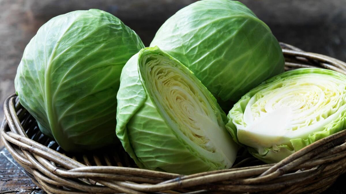 Il meme taiwanese sbarca in Italia! Il web ironizza «Il cavolo stacanovista è ufficialmente in trasferta nel Mediterraneo»