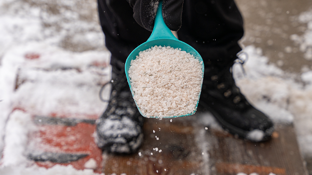 Cospargete questo al posto del sale e il ghiaccio sul marciapiede si scioglierà in pochi minuti