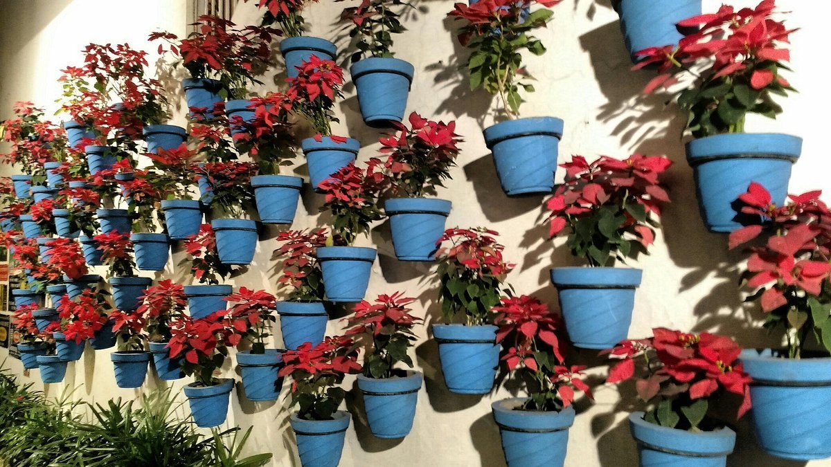 Li hanno quasi tutti in casa. Presto potrebbero essere vietati