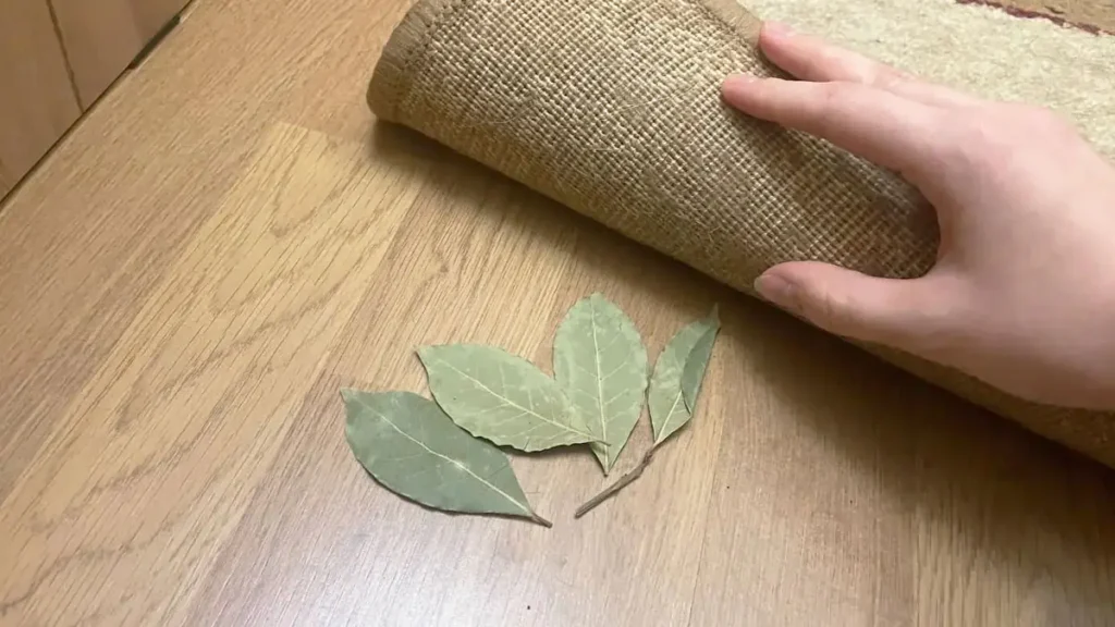 Mettete una foglia di alloro sotto il tappeto e entro domani mattina vi libererete del vostro problema quotidiano