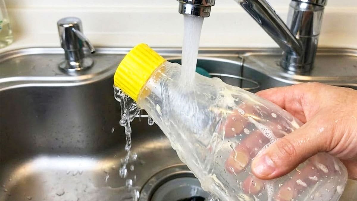 «Non gettate le bottiglie vuote di maionese»... Come una comune confezione si trasforma in oggetti utili per la casa 2 «Non gettate le bottiglie vuote di maionese»... Come una comune confezione si trasforma in oggetti utili per la casa