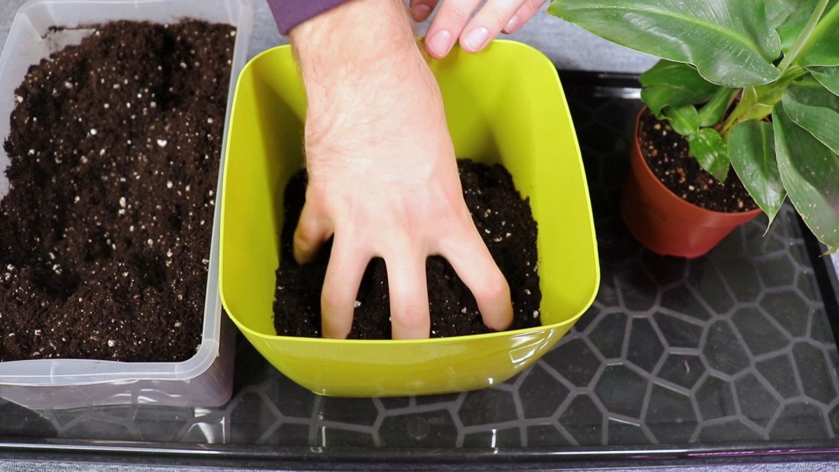 Cosparso la buccia di banana di sale e non posso più farne a meno: il trucco geniale per i più pigri