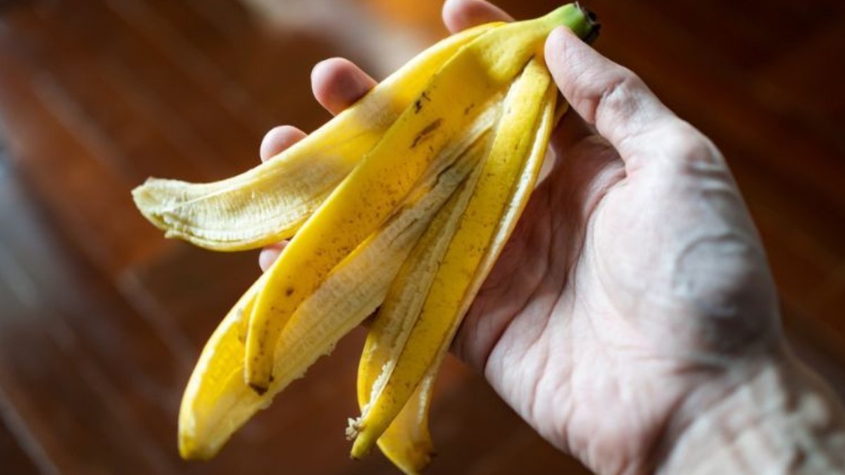 Cospargo la buccia di banana di sale e per tutto l’inverno mi compiaccio della mia ingegnosità: il miglior lifehack per pigri 2 Cospargo la buccia di banana di sale e per tutto l’inverno mi compiaccio della mia ingegnosità: il miglior lifehack per pigri