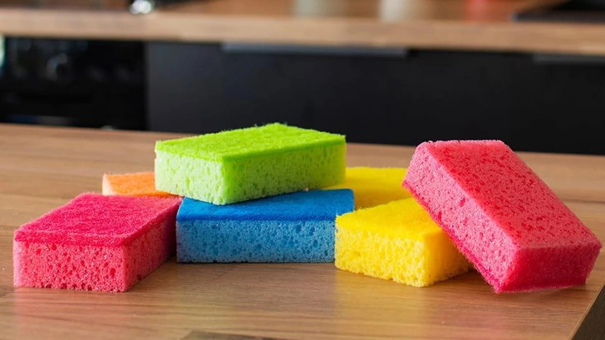 Ho messo la spugna da cucina nel congelatore in Italia e sono rimasta sorpresa dal risultato