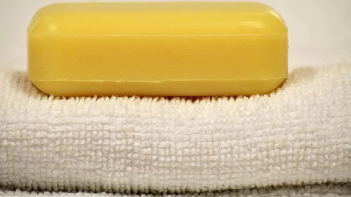 Metto il sapone sui termosifoni in ogni stanza e questo è il motivo: i trucchi che mi ha insegnato un vecchio chimico 2 Metto il sapone sui termosifoni in ogni stanza e questo è il motivo: i trucchi che mi ha insegnato un vecchio chimico