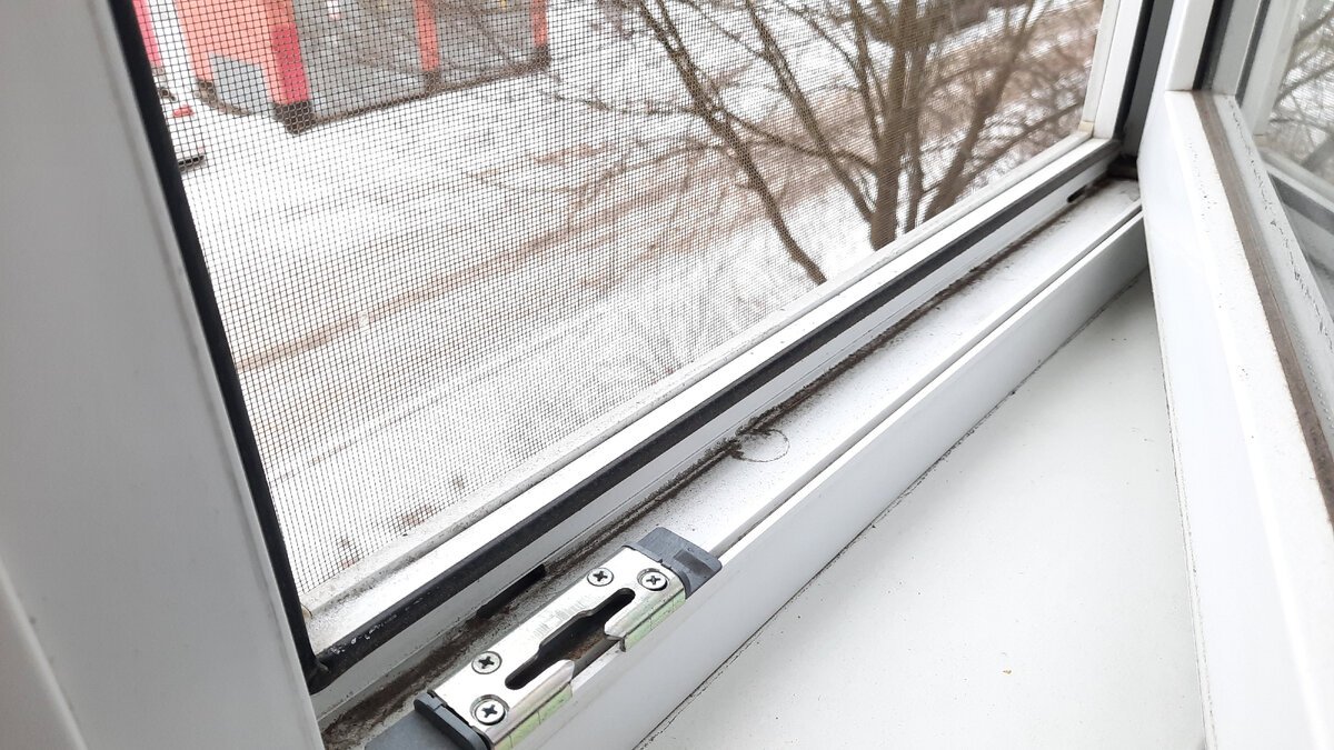 Provate ad avvicinare un rotolo di cartone della carta igienica al telaio della finestra: perché non conoscevo questo trucco geniale