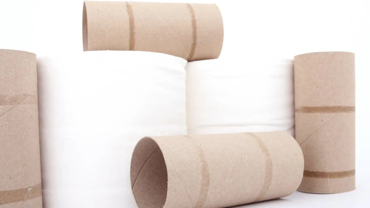 I rotoli di carta igienica sono un tesoro prezioso: ecco come li riutilizzo in casa