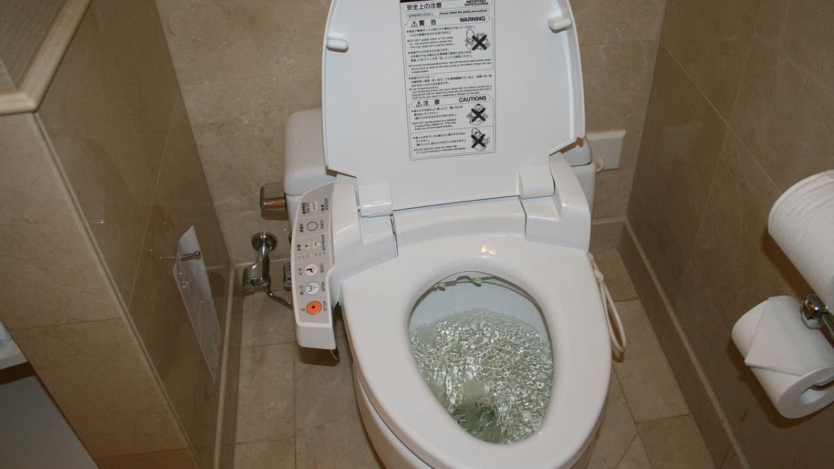 Perché i giapponesi si siedono sul water rivolti in avanti: il motivo sorprende, ma ha senso 3 Perché i giapponesi si siedono sul water rivolti in avanti: il motivo sorprende, ma ha senso