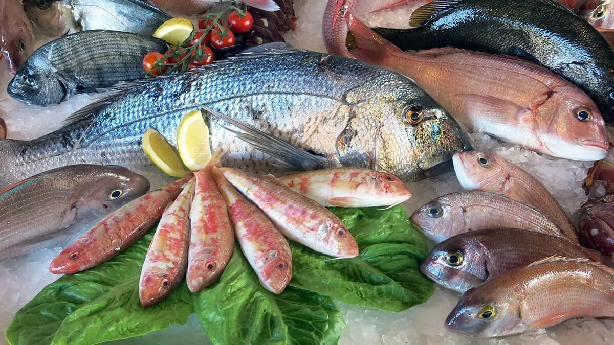 Dimenticate salmone e branzino: questo pesce è considerato il più salutare, ma molti lo sottovalutano ancora 2 Dimenticate salmone e branzino: questo pesce è considerato il più salutare, ma molti lo sottovalutano ancora