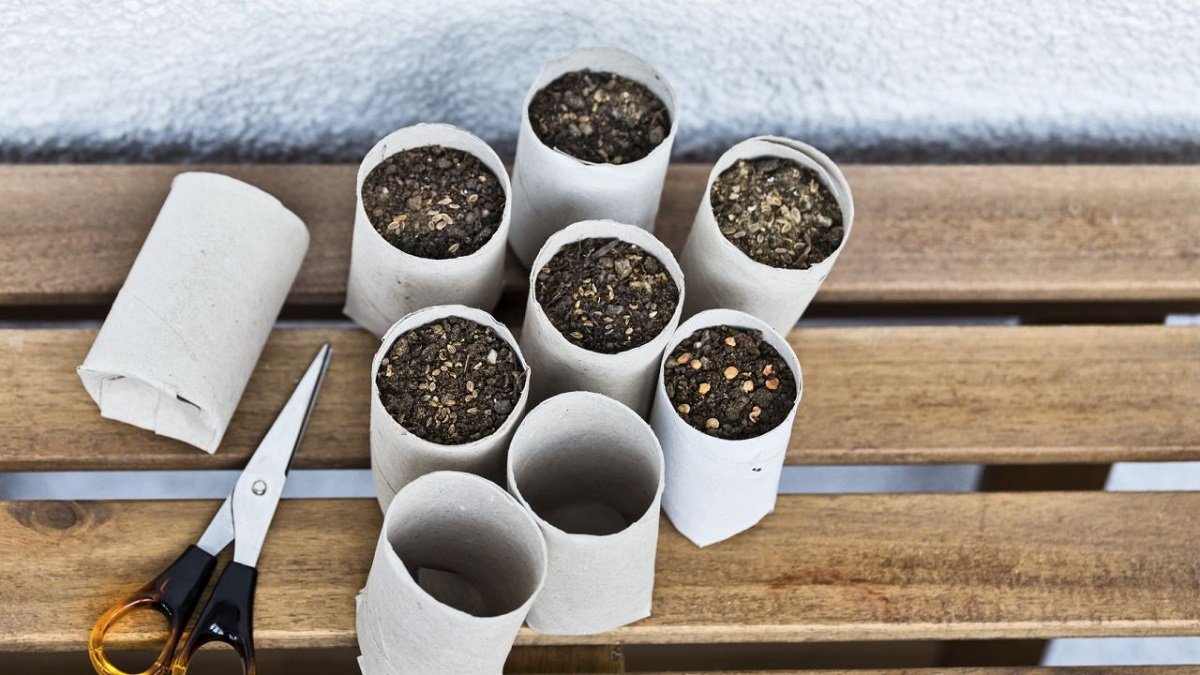 Non butto i rotoli del tubo della carta igienica, li custodisco come la cosa più preziosa: 3 modi per riutilizzarli in casa — un trucco ormai diffuso anche negli appartamenti cechi 3 Non butto i rotoli del tubo della carta igienica, li custodisco come la cosa più preziosa: 3 modi per riutilizzarli in casa — un trucco ormai diffuso anche negli appartamenti cechi